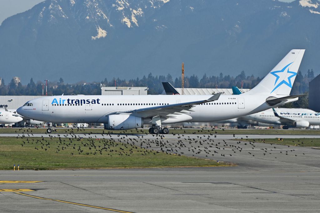 Airbus A330-200 (C-GJDA) - WOW, those birds.