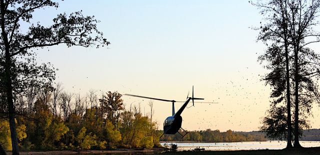 Robinson R-44 (N244SH)