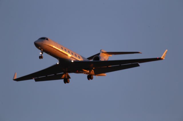 Gulfstream Aerospace Gulfstream V (N516QS)