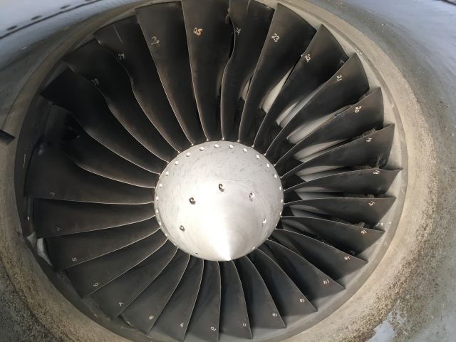 Embraer 170/175 — - Bird Strike