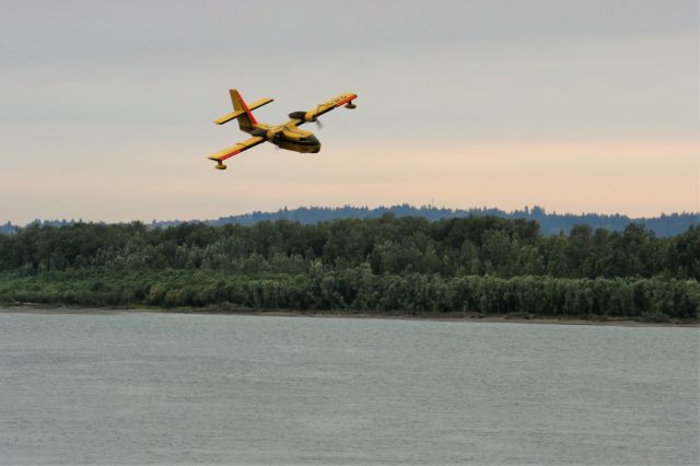 Canadair CL-215 (N262NR)