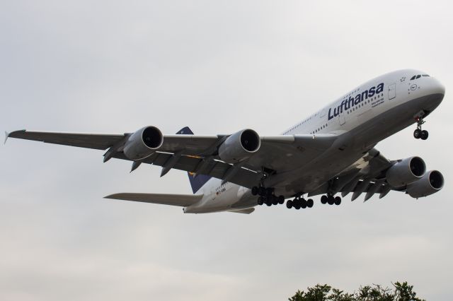 Airbus A380-800 (D-AIMA)