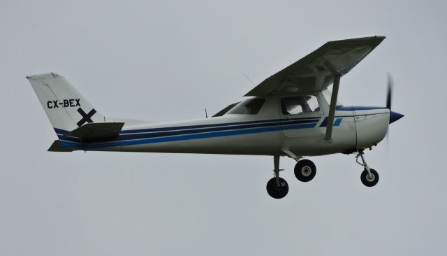 Cessna Commuter (CX-BEX)