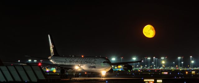 D-AIGX — - D-AIGX Lufthansa Airbus A340-313 lining up on Rwy18 for departure to Shenyang (SHE) @ Frankfurt - Rhein-Main International (FRA) / 03.08.2015