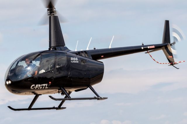 Robinson R-44 (C-FNTL) - Landing at Customs from HLN.