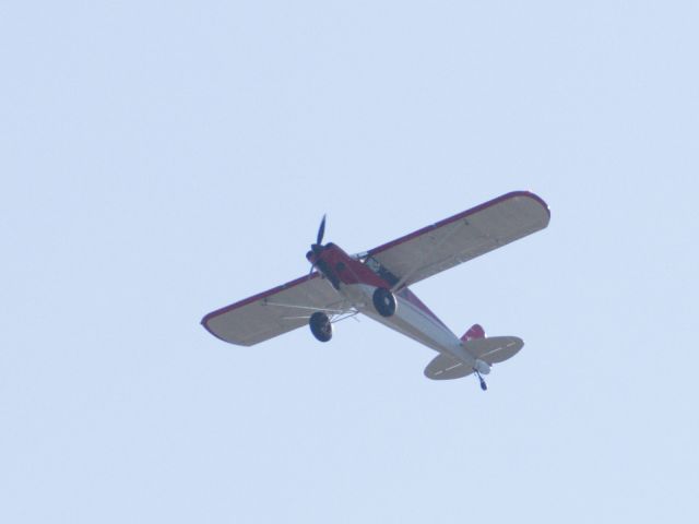 Piper L-21 Super Cub (N311BL) - Flying over my house in 78757