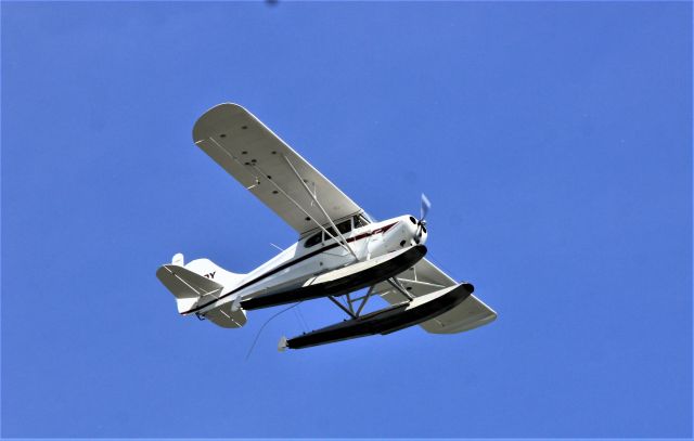 C-FKOY — - C-FKOY Aeronca 11-BC en vol au dessus du fleuve St-Laurent QC. à Lavaltrie le 02-06-2021 à 14:47