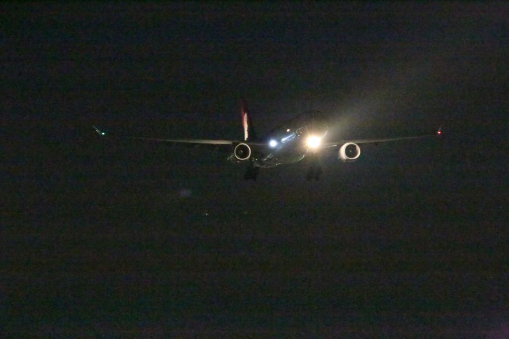 Airbus A330-200 (N386HA)
