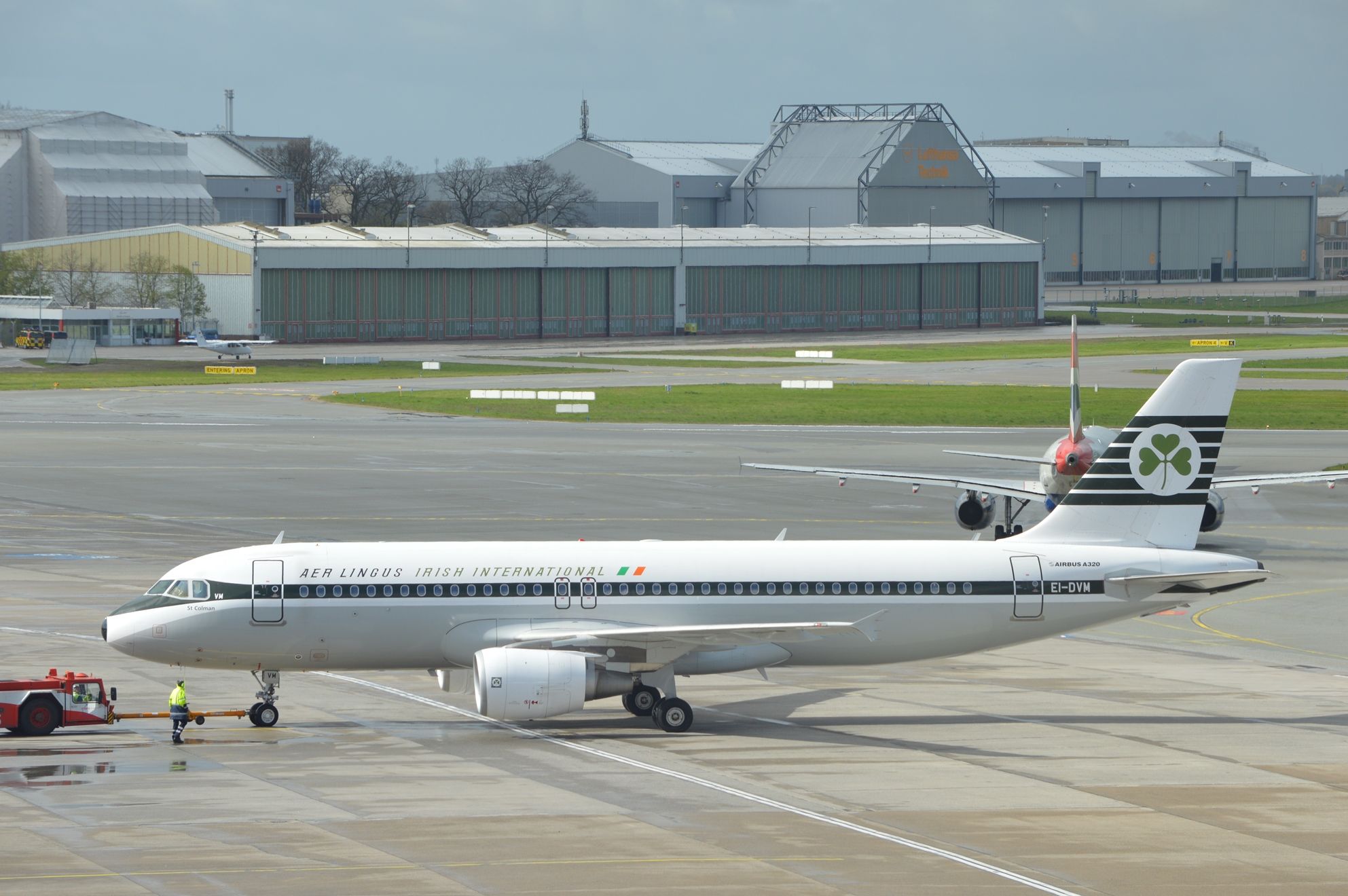 Airbus A320 (EI-DVM)