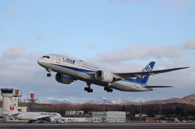 Boeing 787-8 (JA812A) - January 11, 2025:HKD-HND.