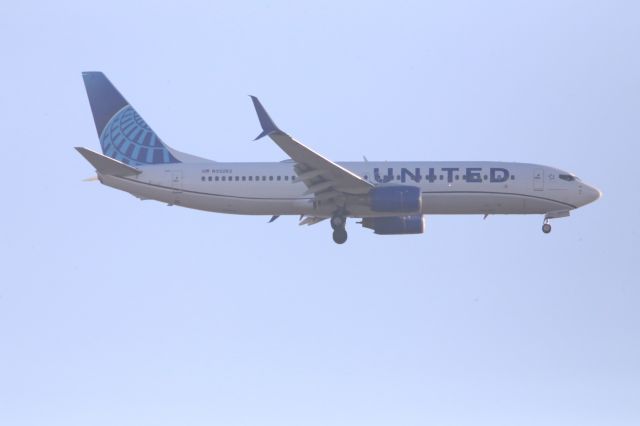 Boeing 737-800 (N33262)