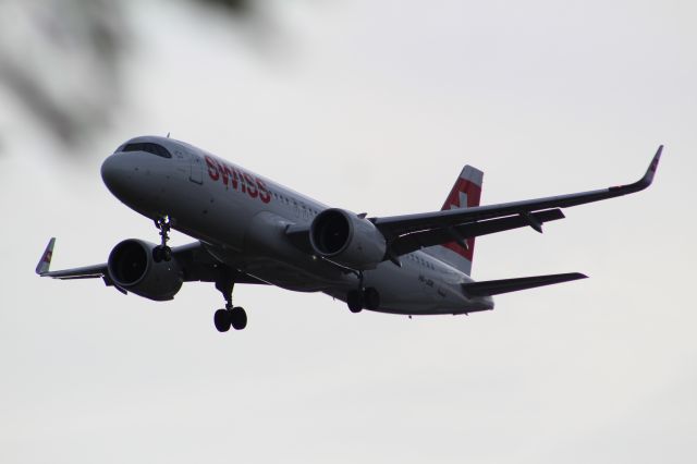 Airbus A320neo (HB-JDB) - A SWISS A320neo on final approach into LHR, landing on runway 09L.br /br /Location: Stanwell Moor Road, beside runway 09L.br /Date: 28.08.22 (dd/mm/yy)
