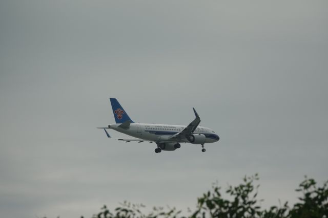 B-329Y —