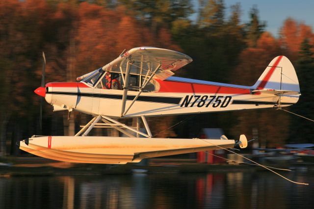 Piper L-21 Super Cub (N7875D)