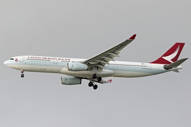 Airbus A330-300 (B-LAA)