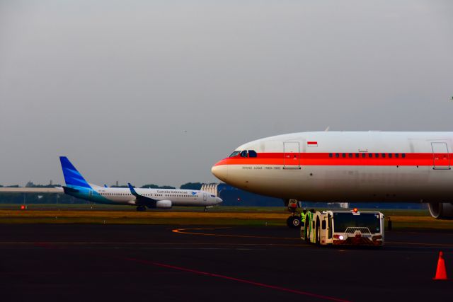 Boeing 737-800 (PK-GNC) - OLD & NEW LOGO