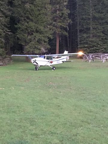Cessna Skylane (N85EF)