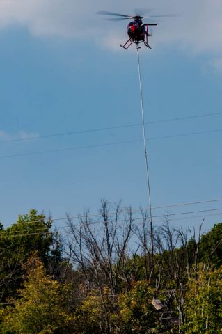 N31HM — - Tree trimming in Summit County, OH