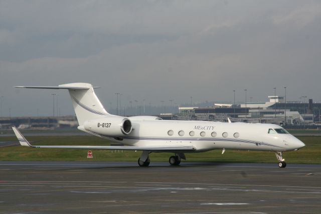 Gulfstream Aerospace Gulfstream V (B-8137)