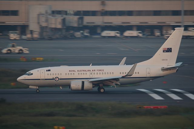 Boeing 737-700 (A36001) - Royal Australia Air Force-Boeing 737-700 BBJbr /SYD-HND