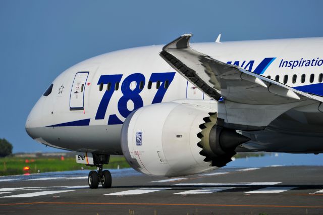 Boeing 787-8 (JA818A)