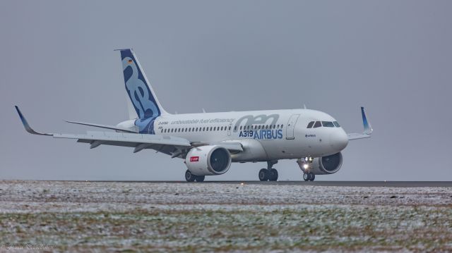 Airbus A319 (D-AVWA)