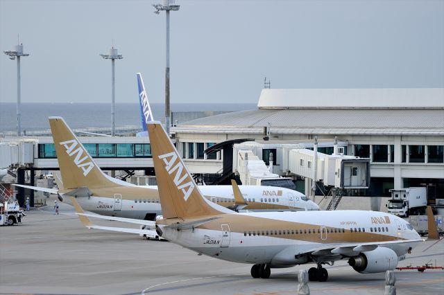 Boeing 737-700 (JA01AN) - JA01AN&JA02AN　"Gold Jet"