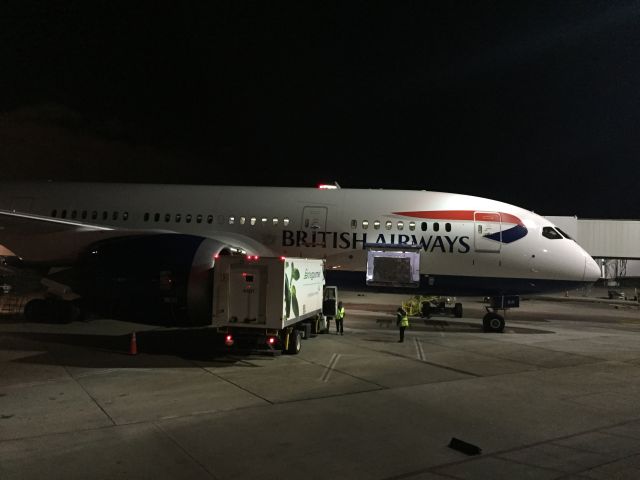 Boeing 787-8 —