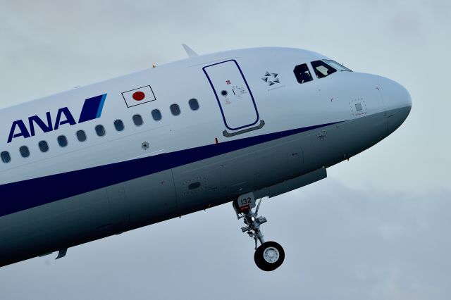 Airbus A321 (JA132A) - A321NEO