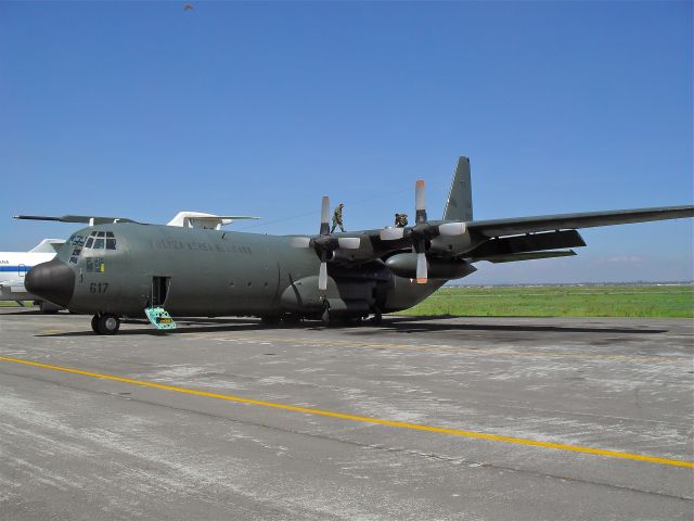 Lockheed C-130 Hercules (FAM3617) - Lockheed C-130K Hercules FAM-3617 MSN 4253 of Mexican Air Force (FAM) operated by EA-302 st Tranport Squadron at Santa Lucia AB (06/2009).