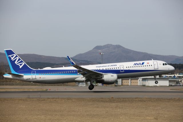 Airbus A321 (JA114A) - 17 April 2017:HND-HKD.