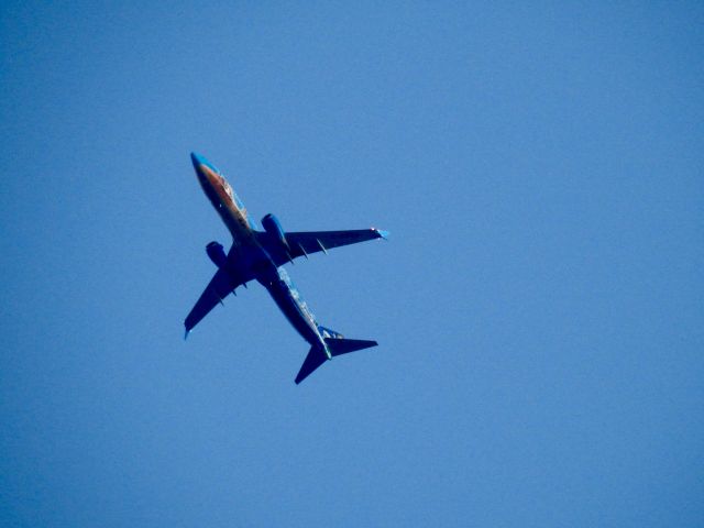 Boeing 737-800 (C-GWSV)