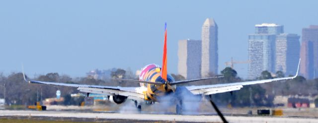 Boeing 737-700 (N214WN) - Maryland One smoking the mains at KHOU