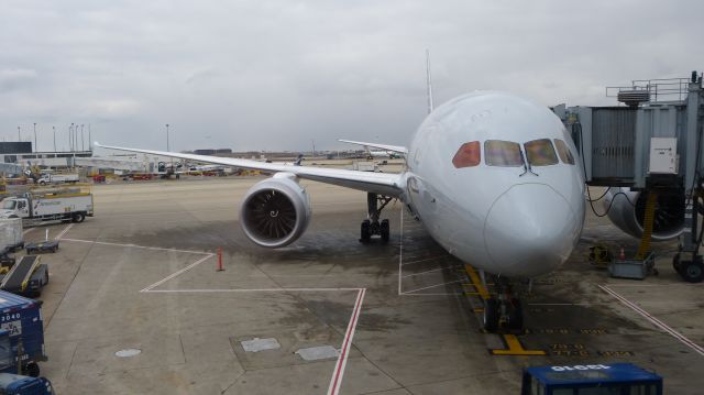 Boeing 787-8 (N817AN) - Heading out to Beijing