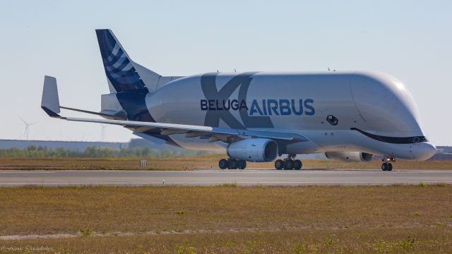 Airbus A330-300 (F-WBXL)