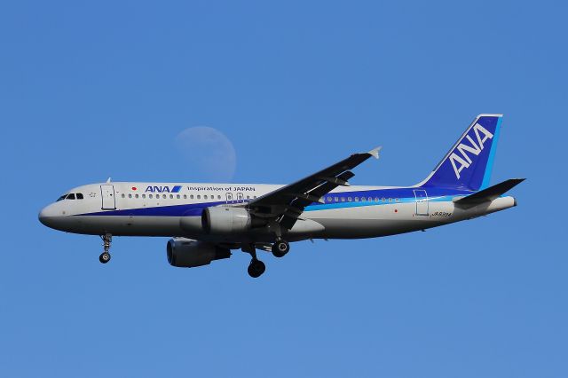 Airbus A320 (JA8394)