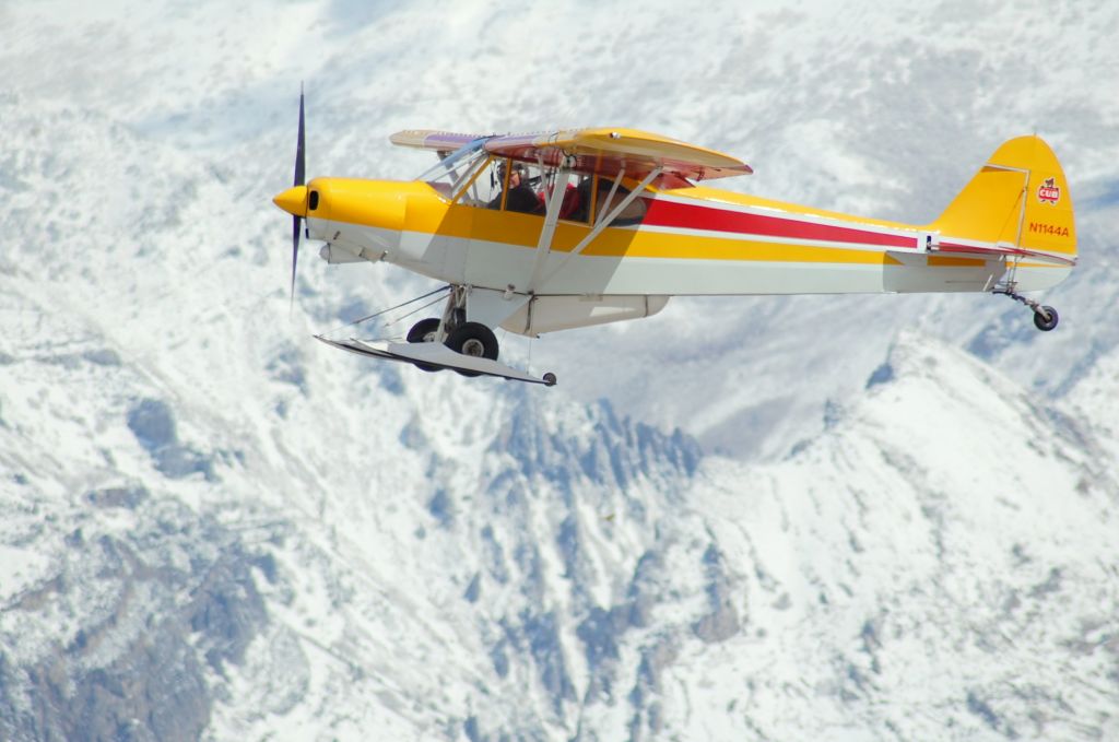 Piper L-21 Super Cub (N1144A)