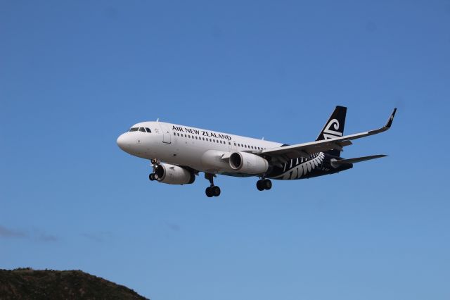 Airbus A320 (ZK-OXF)