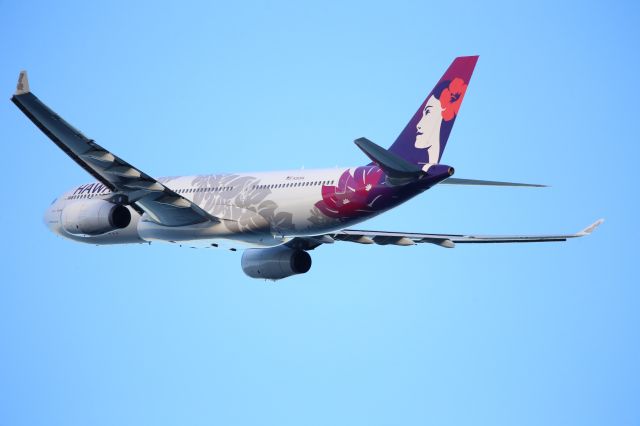 Airbus A330-200 (N393HA)