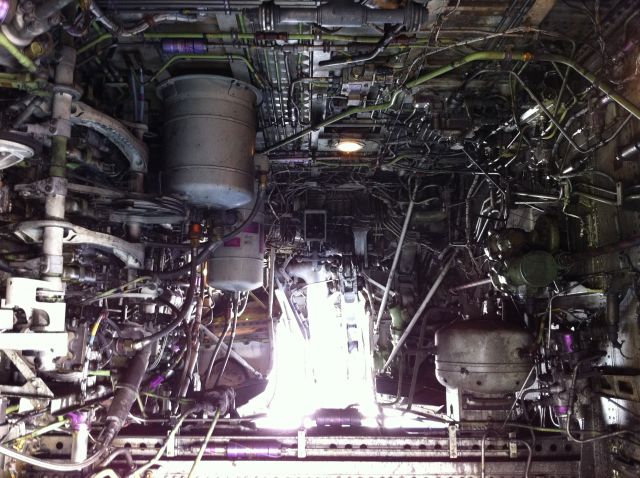 Boeing 737-700 (EI-DPP) - Main Gear well.