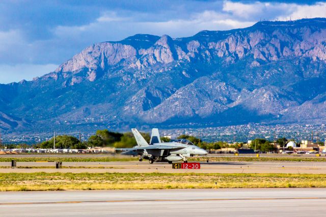 McDonnell Douglas FA-18 Hornet —