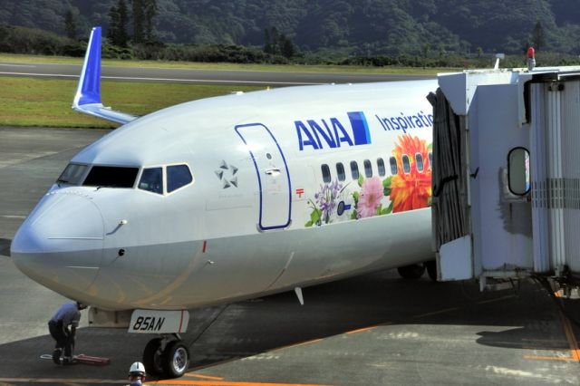 Boeing 737-800 (JA85AN) - Flower Power, just arrived at Gate