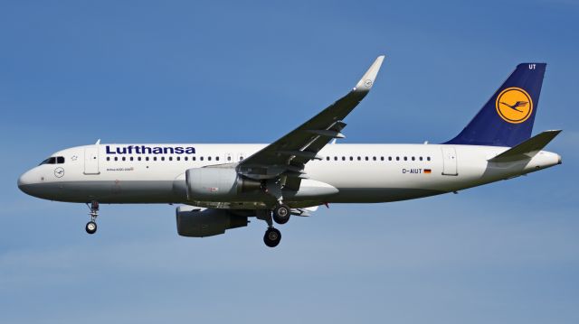 Airbus A320 (D-AIUT)