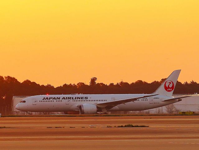 Boeing 787-9 Dreamliner (JA862J) - I took this picture on Nov 08, 2019.br /JL11/07 Nov DFW-NRT
