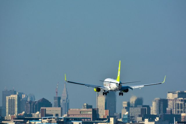 Boeing 737-800 (JA802X)