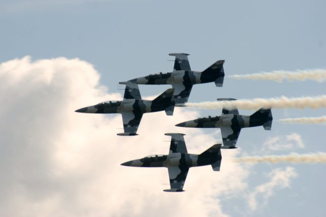 Aero L-39 Albatros (N138EM) - Photo was taken at the 2011 Great Georgia Airshow.