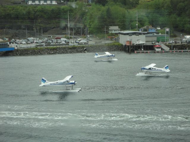 De Havilland Canada DHC-2 Mk1 Beaver (N67667) - A colony of beavers dancing around waiting for dock space at Ketchikan, AK.