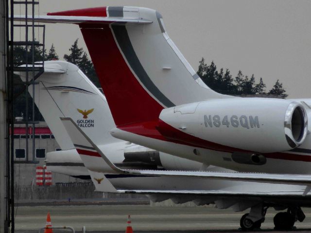 Gulfstream Aerospace Gulfstream V (N846QM) - I take a picture on Feb 18, 2017.