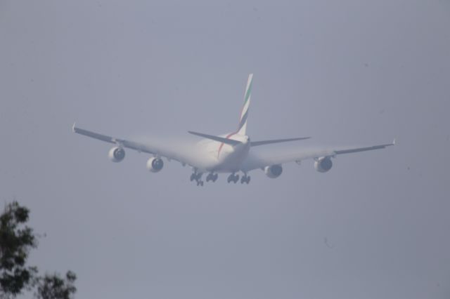 Airbus A380-800 (A6-EOM)