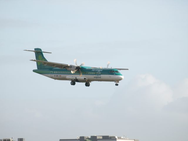 EI-SLM —